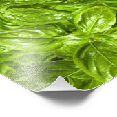 Basil Leaves Pattern Foto Afdruk (Hoek)