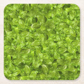 Basil Leaves Pattern Kartonnen Onderzetters (Voorkant)