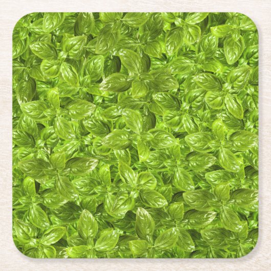 Basil Leaves Pattern Kartonnen Onderzetters (Voorkant)