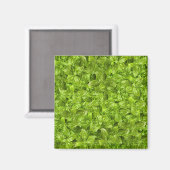 Basil Leaves Pattern Magneet (Voorkant / Achterkant)