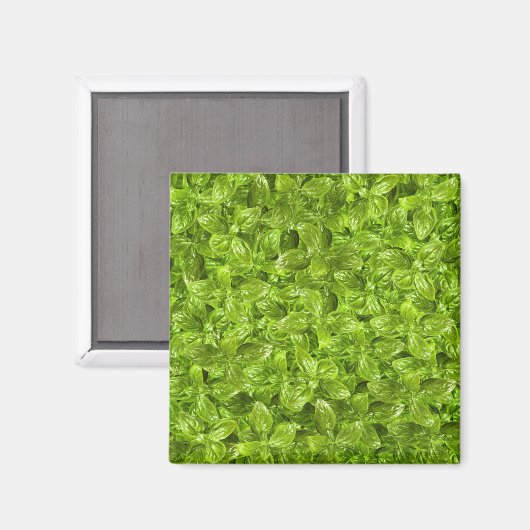 Basil Leaves Pattern Magneet (Voorkant / Achterkant)