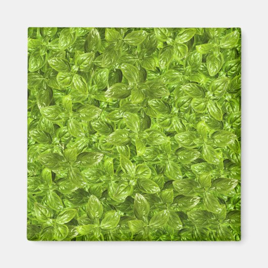 Basil Leaves Pattern Magneet (Voorkant)
