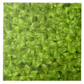 Basil Leaves Pattern Tegeltje (Voorkant)
