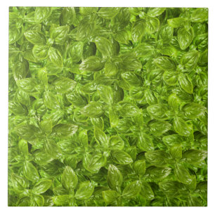 Basil Leaves Pattern Tegeltje