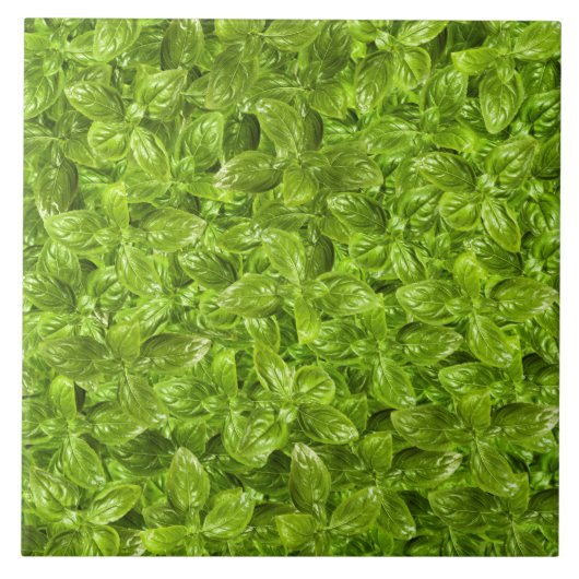 Basil Leaves Pattern Tegeltje (Voorkant)