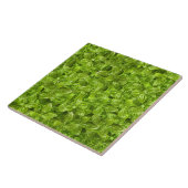 Basil Leaves Pattern Tegeltje (Zijkant)