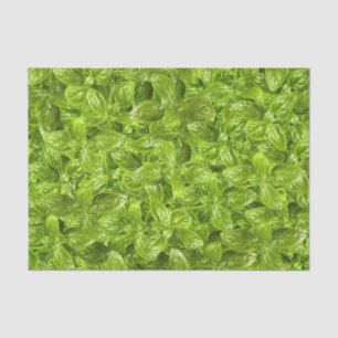 Basil Leaves Pattern Tissuepapier