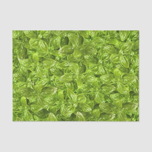 Basil Leaves Pattern Tissuepapier (Voorkant)