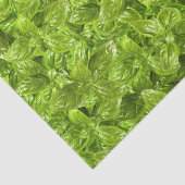 Basil Leaves Pattern Tissuepapier (Detail)