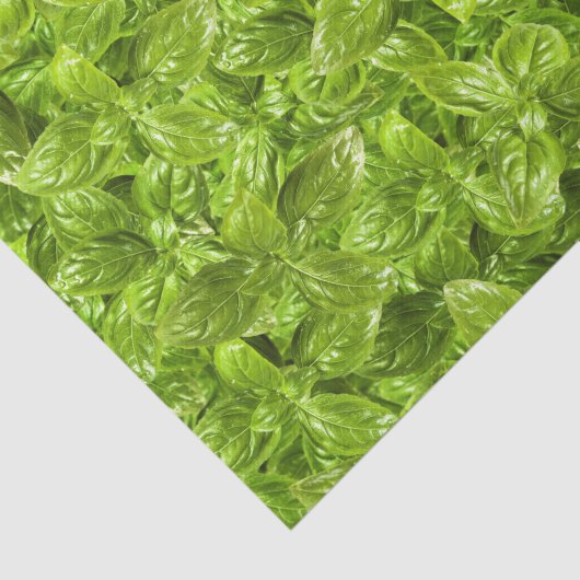 Basil Leaves Pattern Tissuepapier (Detail)