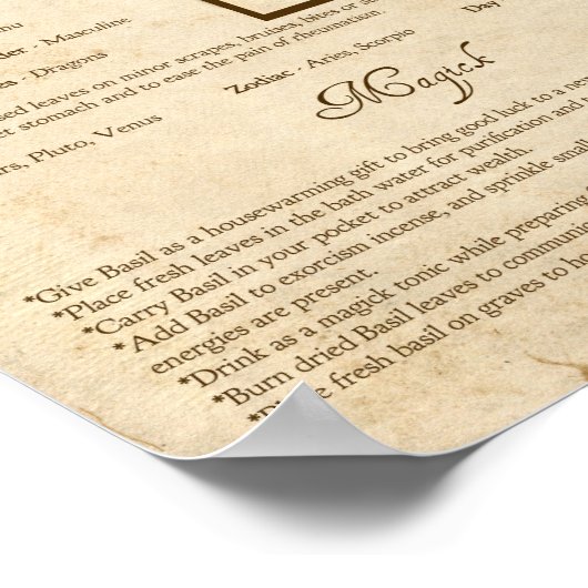 BASIL MAGICK HERB POSTER (Hoek)