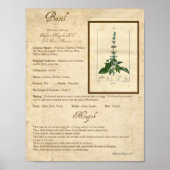 BASIL MAGICK HERB POSTER (Voorkant)