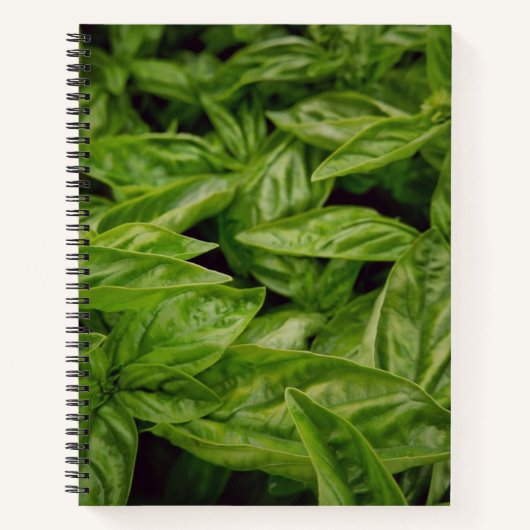 Basil Notitieboek (Voorkant)
