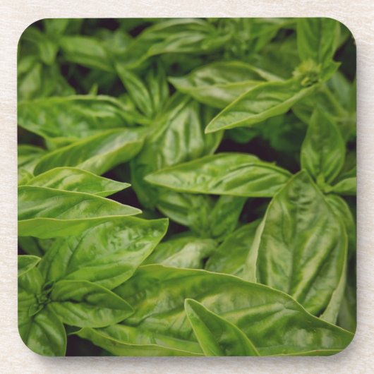 Basil Notitieboek Bier Onderzetter (Voorkant)