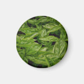 Basil Notitieboek Magneet (Voorkant)