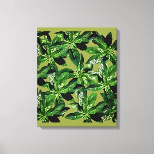 Basil Plant Fotopatroon Verpakt canvas Afdruk (Voorkant)
