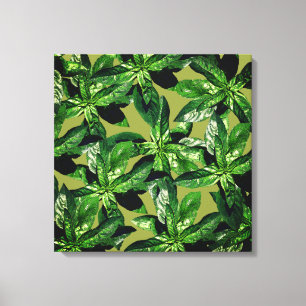 Basil Plant Fotopatroon Verpakt canvas Afdruk