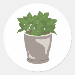 Basil-Plant Ronde Sticker