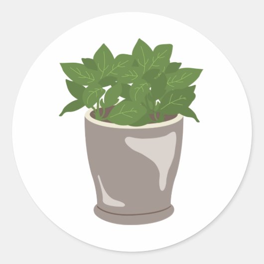 Basil-Plant Ronde Sticker (Voorkant)
