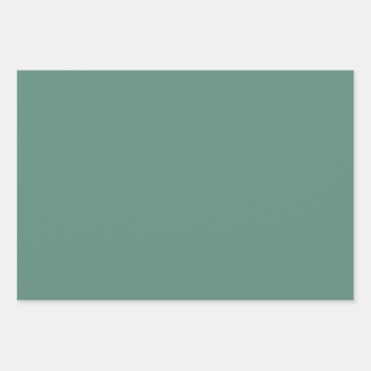 Basil & Sage Wrapping Paper Flat Sheet Set of 3 (Voorkant 3)