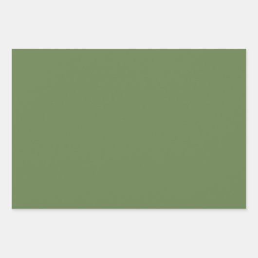 Basil & Sage Wrapping Paper Flat Sheet Set of 3 (Voorkant 2)