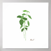 Basil Stem Illustration | Kruiden Keuken Wandkunst Poster (Voorkant)