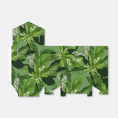 Basil verlaat fort tentuitbussen bedankdoosjes (Uitgevouwen)