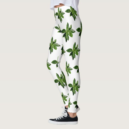 Basil verliest Leggings (Links)
