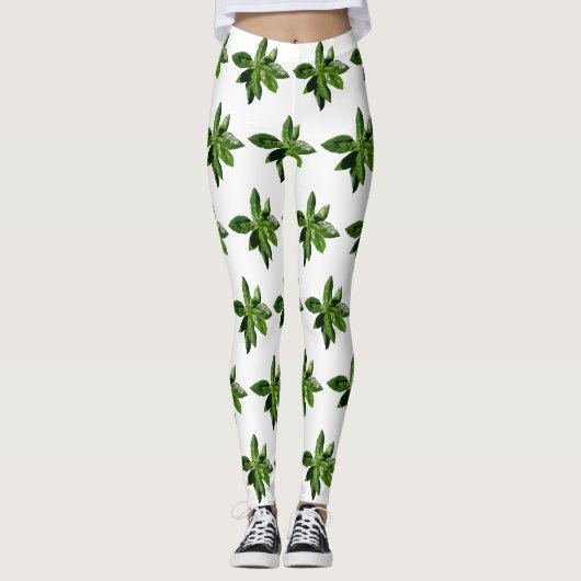 Basil verliest Leggings (Voorkant)