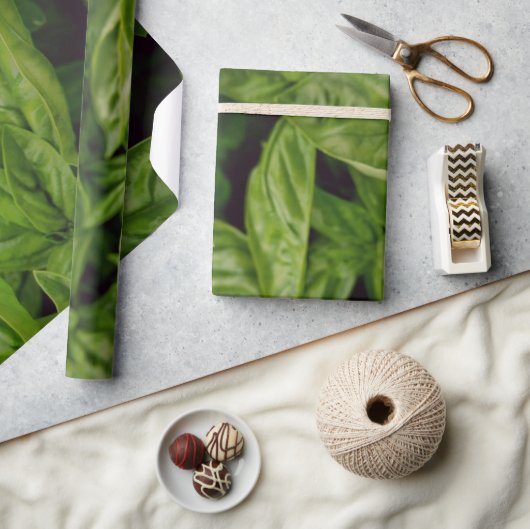 Basilicum Cadeaupapier (Crafts)