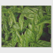 Basilicum Cadeaupapier (Vlak)