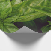 Basilicum Cadeaupapier (Hoek)