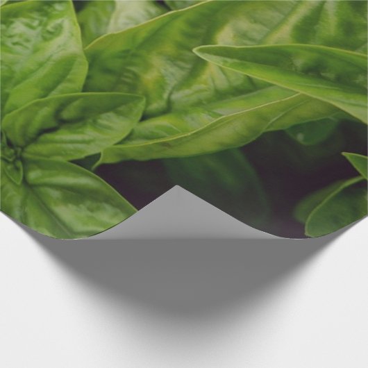 Basilicum Cadeaupapier (Hoek)