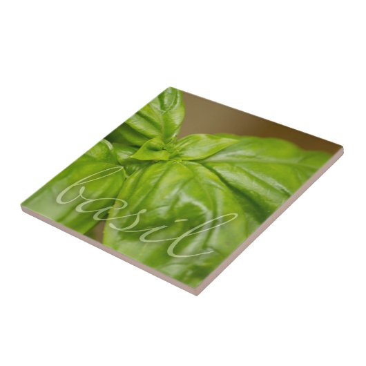 Basilicum decoratief element tegeltje (Zijkant)