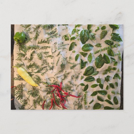 Basilicum en pepers briefkaart (Voorkant)