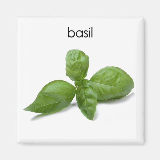 Basilicum-koeler Magnet (Voorkant)