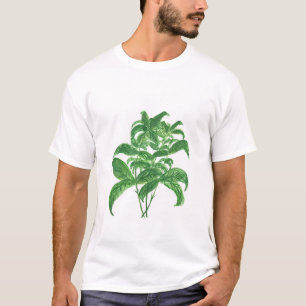 Basilicum-kruiden botanische tuintuintuinen waterv t-shirt