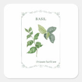 Basilicum - vierkante sticker (Voorkant)