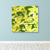 Basilicumkruid, keukenkunst, omwikkeld canvas (Insitu (Houten vloer))