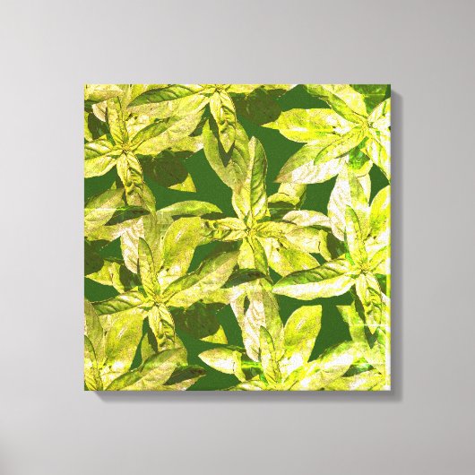 Basilicumkruid, keukenkunst, omwikkeld canvas afdruk (Voorkant)