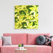 Basilicumkruid, keukenkunst, omwikkeld canvas afdruk (Insitu (Woonkamer))