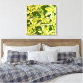 Basilicumkruid, keukenkunst, omwikkeld canvas afdruk (Insitu (Slaapkamer))