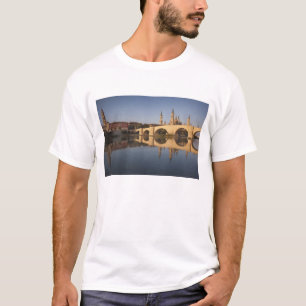 Basiliek van Onze Lieve Vrouw van de Pilaar T-shirt