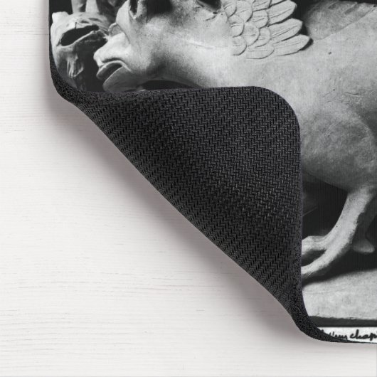 Basilisk Muismat (Hoek)