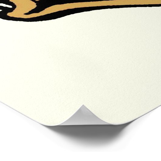 Basis Ball & Glove Poster (Hoek)