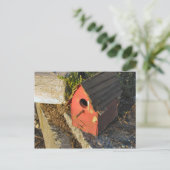 Basis Home met Uitzicht Briefkaart (Staand voorkant)