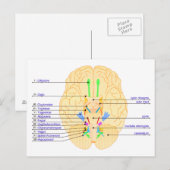 basis van afbeelding engels briefkaart (Voorkant / Achterkant)