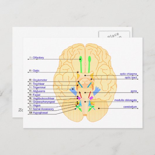 basis van afbeelding engels briefkaart (Voorkant / Achterkant)