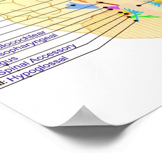 basis van afbeelding engels poster (Hoek)