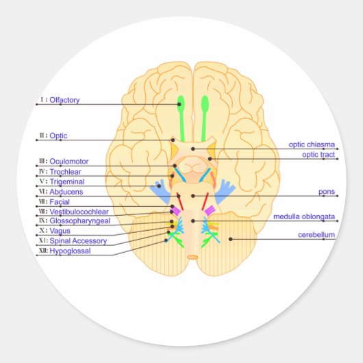 basis van afbeelding engels ronde sticker (Voorkant)